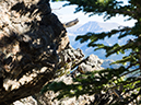 %_tempFileName2015-08-12_01_Half_Mountain-8122223%