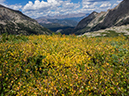 %_tempFileName2015-08-30_01_The_Spearhead-8303886%