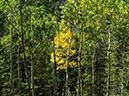 %_tempFileName2015-08-30_01_The_Spearhead-8303891%