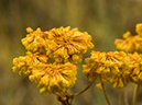 %_tempFileName2015-09-05_01_Gem_Lake-9053973%