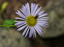 %_tempFileName2015-09-06_01_Watanga_Peak-9064024%