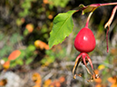 %_tempFileName2015-09-06_01_Watanga_Peak-9064044%