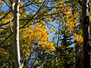 %_tempFileName2015-09-13_01_Sandbeach_Lake-9134143%