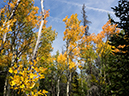 %_tempFileName2015-09-13_01_Sandbeach_Lake-9134149%