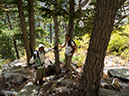 %_tempFileName2015-09-17_01_The%20Needles-9174202%