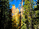 %_tempFileName2015-09-23_01_Mount_Orton-9230001%
