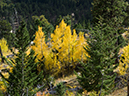 %_tempFileName2015-09-23_01_Mount_Orton-9230026%
