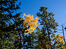 %_tempFileName2015-09-25_01_Signal_Mountains-9250034%
