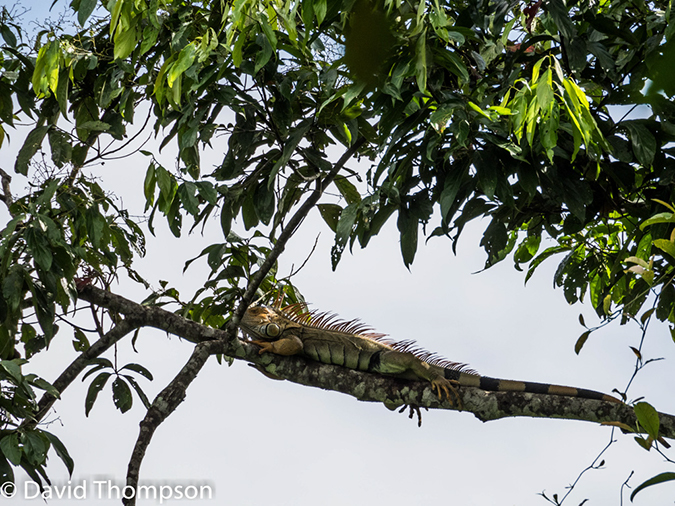 %_tempFileName2015-11_07_01_Arenal-070450%