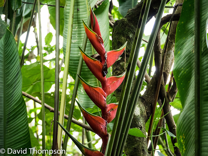 %_tempFileName2015-11_07_01_Arenal-070473%