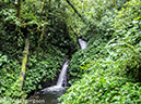 %_tempFileName2015-11_08_01_Monteverde-080568%