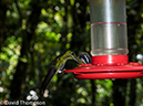 %_tempFileName2015-11_08_01_Monteverde-080614%