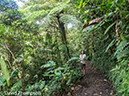 %_tempFileName2015-11_08_01_Monteverde-080646%