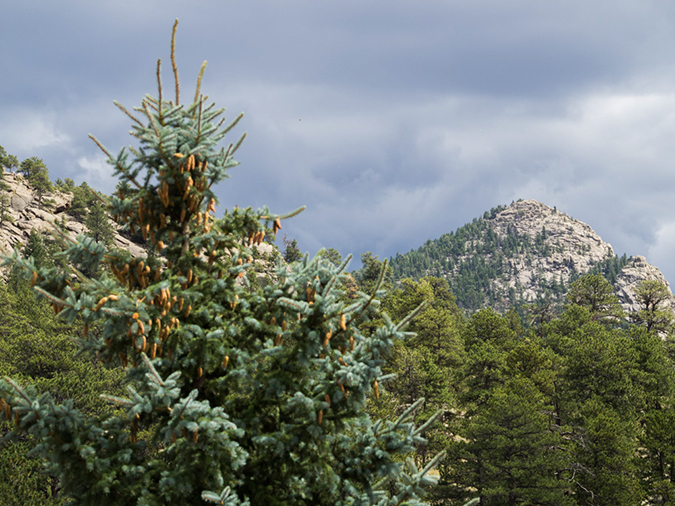 %_tempFileName2015-08-27_01_Estes_Park_Condo-8273702%