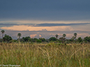 %_tempFileName2016_01-12_04_Botswana_Oddball_Enclave_Afternoon_Game_Walk-1121206%