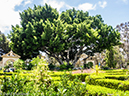 %_tempFileName2016-06-07_01_Balboa_Park_San_Diego-6080657%