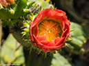 %_tempFileName2016-06-07_01_Balboa_Park_San_Diego-6080669%