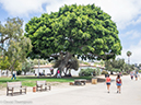 %_tempFileName2016-06-09_02_Old_Town_San_Diego-6090734%