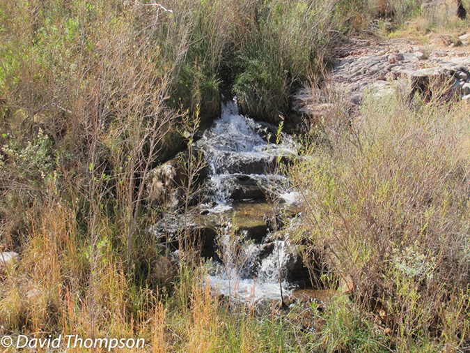 %_tempFileName2012-02-11_Grand_Canyon_Hike-57%