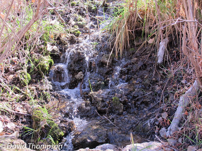 %_tempFileName2012-02-11_Grand_Canyon_Hike-68%