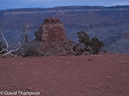 %_tempFileName2012-02-11_Grand_Canyon_Hike-16%