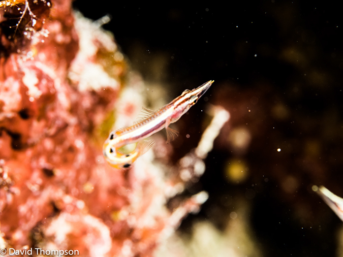 %_tempFileName2014-07-17_02_Site_X-7170720%