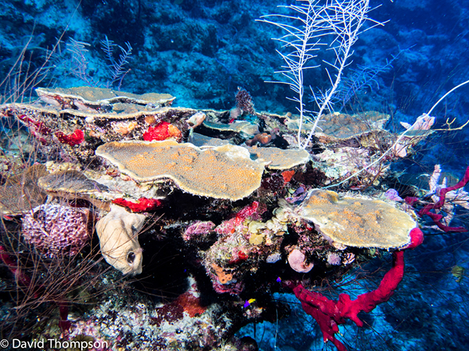 %_tempFileName2014-07-17_04_Silver_Caves-7170393%