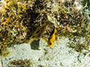 %_tempFileName2014-07-17_04_Silver_Caves-7170415%