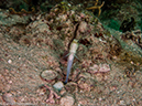 %_tempFileName2014-07-18_02_Sandy_Slope-7180799%