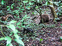 %_tempFileName2014-04-10_01_Iguazu_Falls-112%