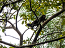 %_tempFileName2014-04-10_01_Iguazu_Falls-119%