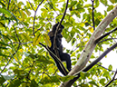 %_tempFileName2014-04-10_01_Iguazu_Falls-121%