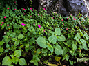 %_tempFileName2014-04-10_01_Iguazu_Falls-80%