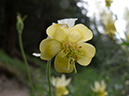 %_tempFileName2013-07-21_2_Johnson_Canyon_Banff_NP-34%