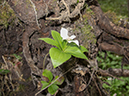 %_tempFileName2013-07-21_2_Johnson_Canyon_Banff_NP-35%