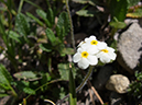 %_tempFileName2013-07-22_1_Corey_Pass_Banff_NP-23%