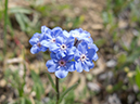 %_tempFileName2013-07-22_1_Corey_Pass_Banff_NP-27%