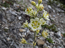 %_tempFileName2013-07-22_1_Corey_Pass_Banff_NP-3%