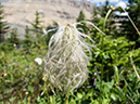 %_tempFileName2013-07-24_1_Dolomite_Pass_Banff_NP-47%