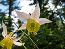 %_tempFileName2013-07-28_1_Sulpher_Skyline_Trail_Jasper-32%