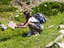%_tempFileName2013-07-30_1_Carvell_Meadows_Jasper-74%