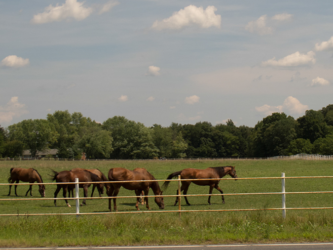 %_tempFileName2012-08-13_Princeton_to_Vineland-51%