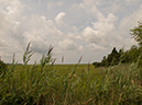 %_tempFileName2012-08-14_Vineland_to_Wildwood_Crest-42%