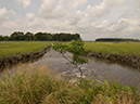 %_tempFileName2012-08-14_Vineland_to_Wildwood_Crest-46%
