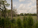 %_tempFileName2012-08-14_Vineland_to_Wildwood_Crest-47%