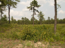 %_tempFileName2012-08-17_Pleasantville_to_Toms_River-39%