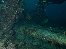 %_tempFileName2013_02_26-1-Zero-Plane-and-Reef-7%