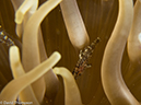 %_tempFileName2013_02_26-3-Made-Gila-22%