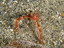 %_tempFileName2013_02_26-3-Made-Gila-31%