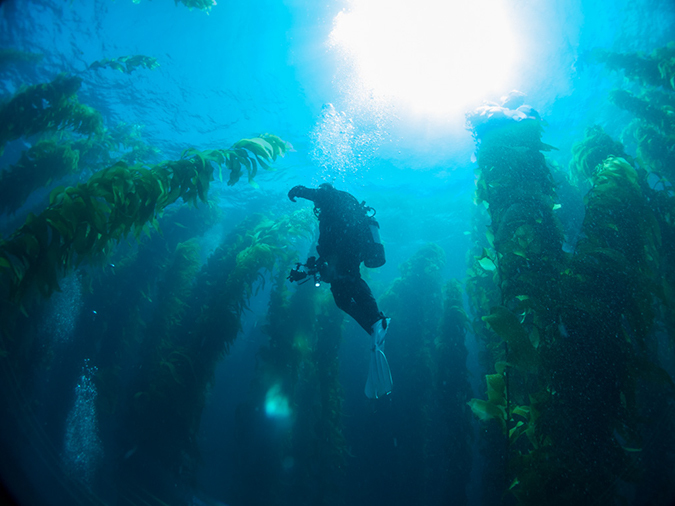 %_tempFileName2012-09-14_2_Santa_Barbara_Island_Cat_Canyon-45%